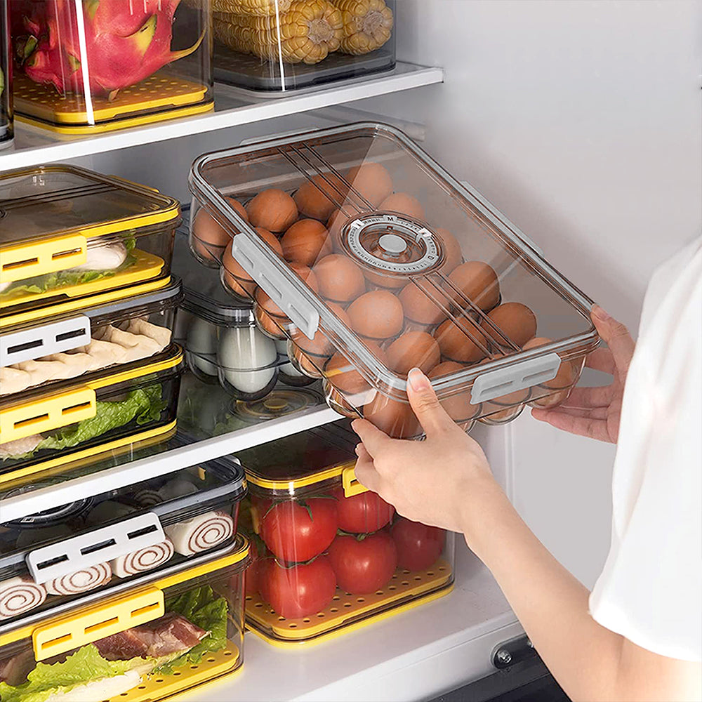 SQ Professional Plastic Sealed 18 Egg Storage Container with Date Dial