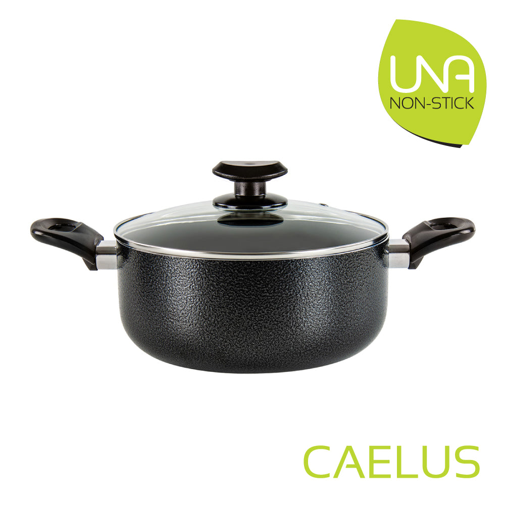 SQ Professional Una Non Stick Stockpot with Lid/ Caelus